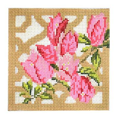Trellis Coaster Bouganvillea