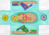 Sandals Brick Cover