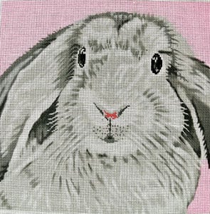 Floppy Bunny on Pink