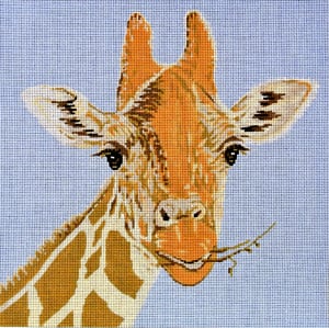Giraffe on Blue Background