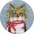Calico Cat
