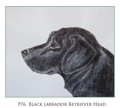 Black Lab Retriever Head