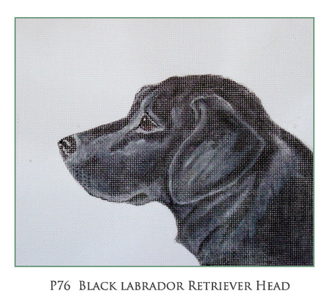 Black Lab Retreiver Head