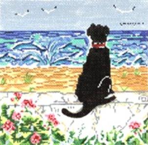 Black Lab Spring Observer