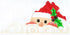 Virginia State Shaped Ornament