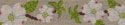 Dogwood Belt