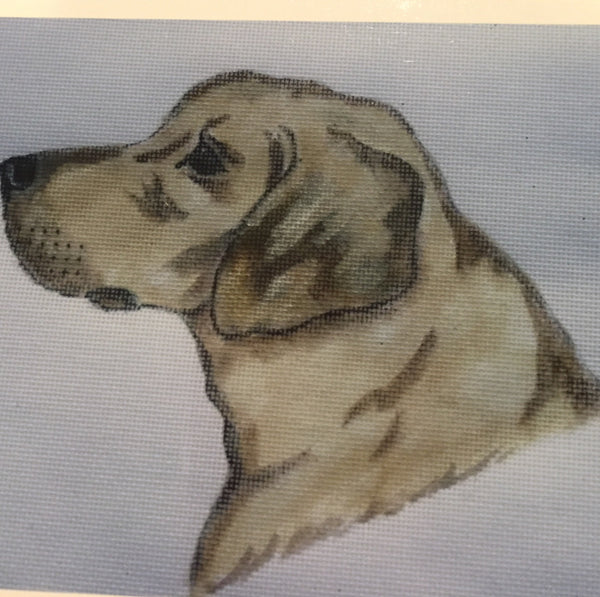 Yellow Lab Retreiver Head