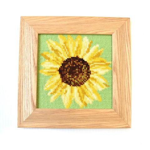 Mini Sunflower Kit